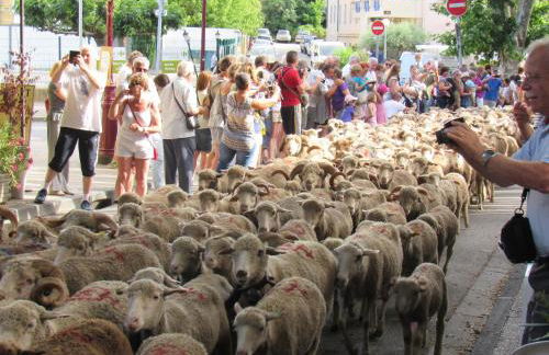 Résidence de gîtes La Sidoine du Mont-Ventoux - Foto 67