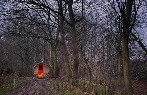 Reetdachkate Fuchsgraben - naturnah & stilvoll mit Wald-Sauna - Foto 58