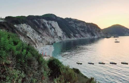 Nido d'amore - Foto 22