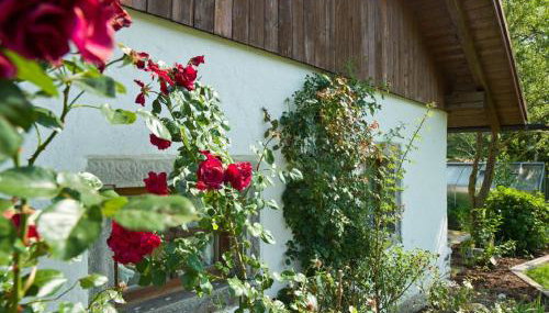 Ferienhof "Schoppa-Haisl" - Foto 3, Other