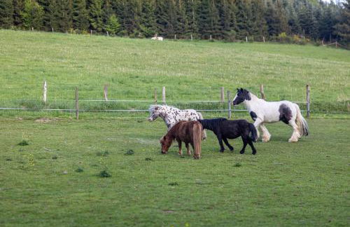 Ferienhaus Weitblick - Photo 40