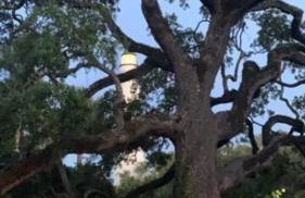 Coastal Condo with pool, minutes from beach - Foto 16