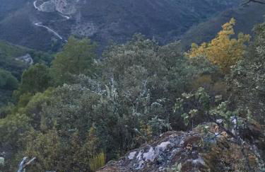 Mosteirinho - Foto 61