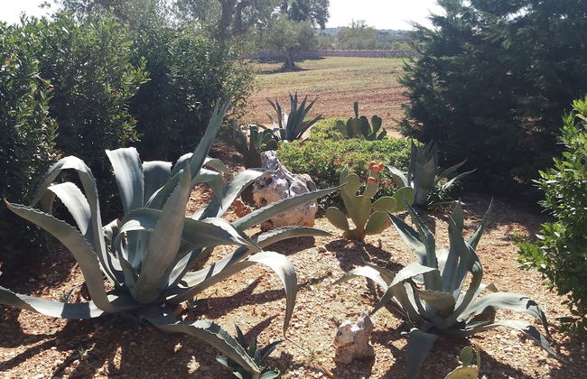 Trulli Colarossa - Photo 69