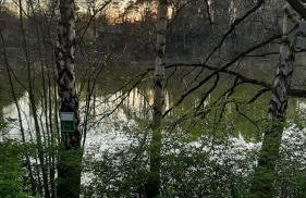 Fewo Am Heidestrandbad - Foto 12