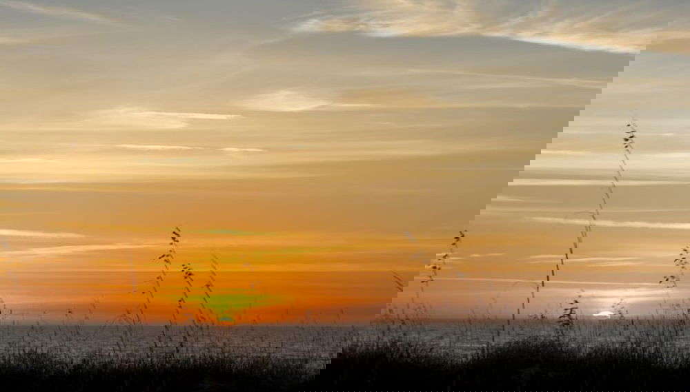 Evian by Hilton Head Retreats - Foto 1, Servizio della struttura