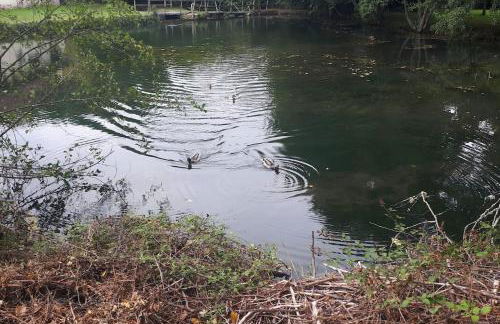 Gîte Uros Terrasse avec spa - Foto 7