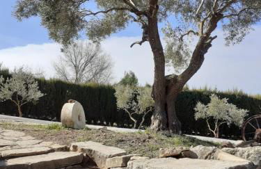 Villa La Escollera Ronda - Foto 14