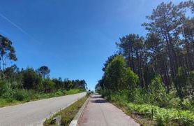 Nazare Uninterrupted Views and Sounds of the Sea - Foto 42