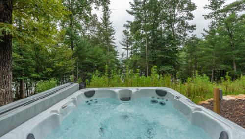 The Waterman Lakefront Luxury with Hot Tub & Private Dock! - Photo 4