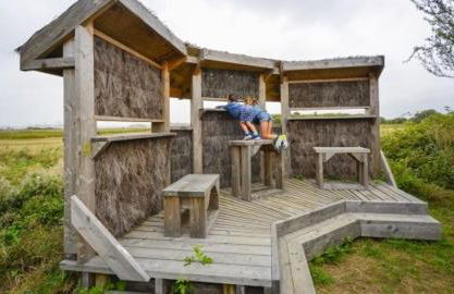 Ti Louker - Appartement à 300m du Port - Photo 35