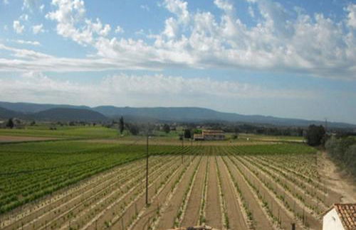 Le Temps d'un Rêve - Foto 58