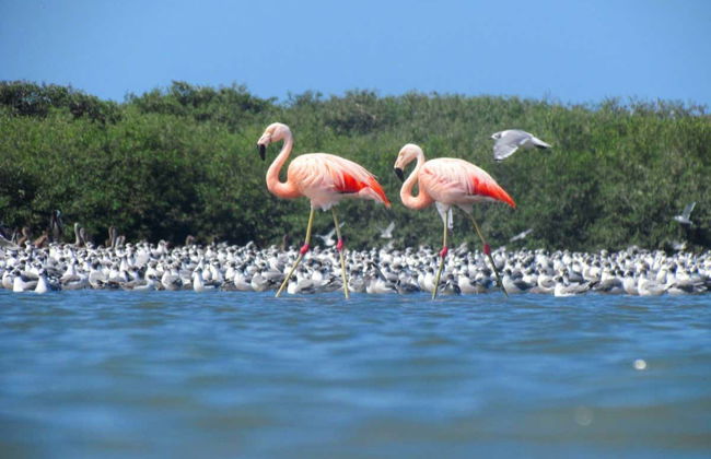 Sechura Day Trip + Sandboarding - Foto 3