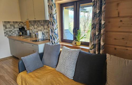 Apartamenty u Rysulów - Foto 38