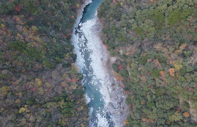 CrossFit Otoyo Strength TINY HOUSE - Foto 30