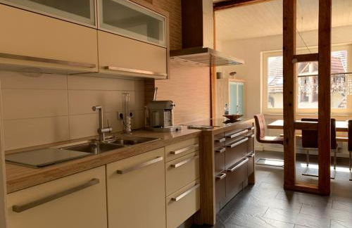 Deluxe Business City Apartments Metzingen Villa Landenberger - Foto 44