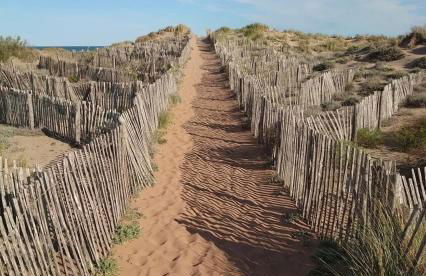 La Terre du Midi à Sérignan - Foto 10
