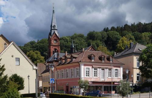 House Near Vosges Park and La Petite Pierre - Foto 51