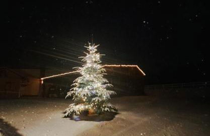 Ferienwohnungen & Landlust Fulda - Photo 44