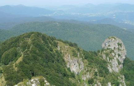 Apartments Nino - Foto 34