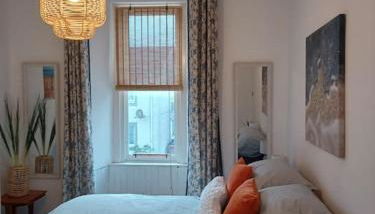 The Fuzzy Duck - Photo 1