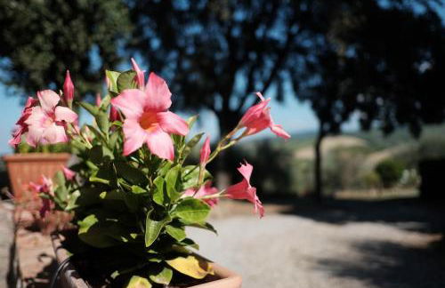 Tuopina Chianti House - Foto 26