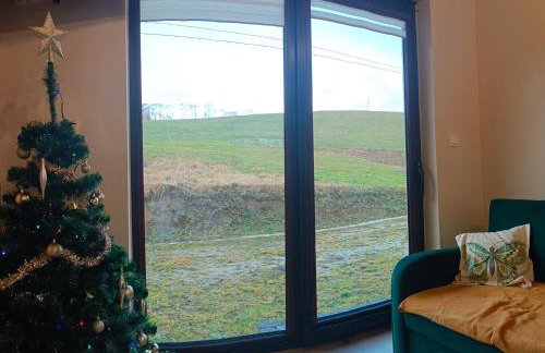 Lisia Norka - Foto 4