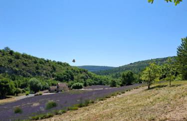 Cabanon provençal en pierre entouré de lavandes - Foto 9