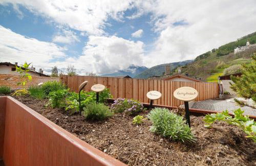 Ferienwohnungen Zwick Spinei - Foto 15