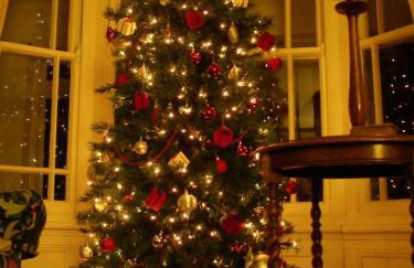 Spacious seaside family house in Aberdaron with large garden and stunning sea views - Photo 58