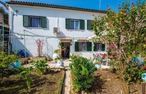 garden home - Foto 25