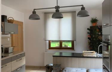 Les Hirondelles - Foto 19