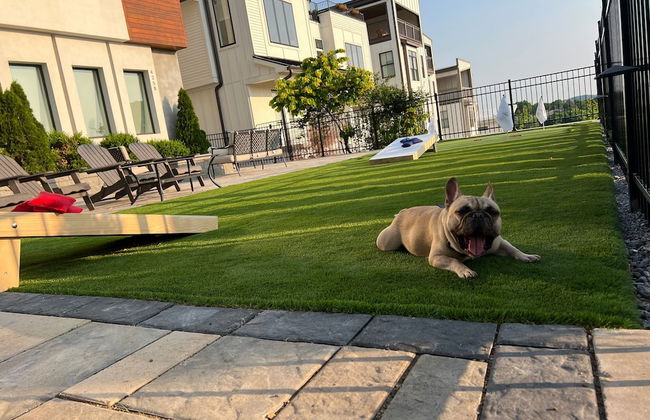 Eagle Nest House in Nashville - Foto 52