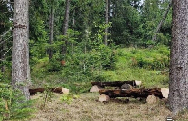 Casa di Pino EcoLodge Hotel - Photo 71