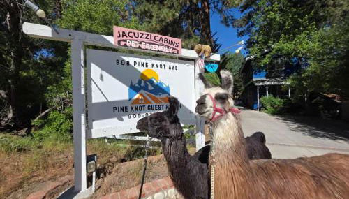 Pine Knot Guest Ranch - Foto 2