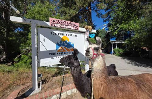 Pine Knot Guest Ranch - Foto 2