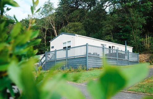 Foxglove Lodge - Photo 1