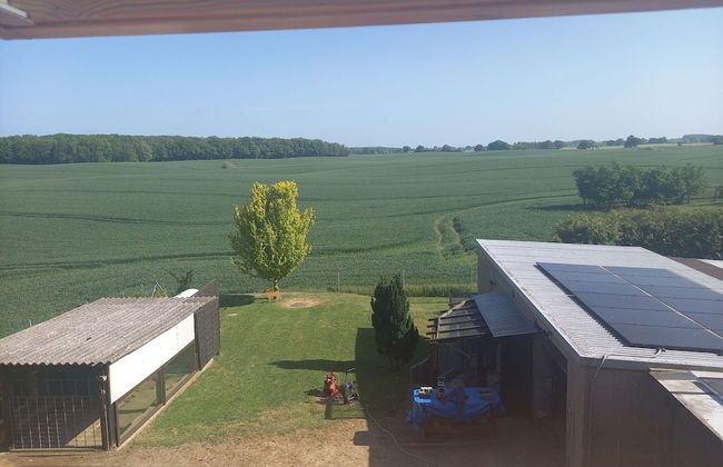 Schone Zweizimmer-ferienwohnung mit Pool im Garten - Foto 22