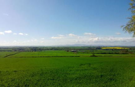 Old Farm Holiday Cottages - Scottish Borders - Foto 47