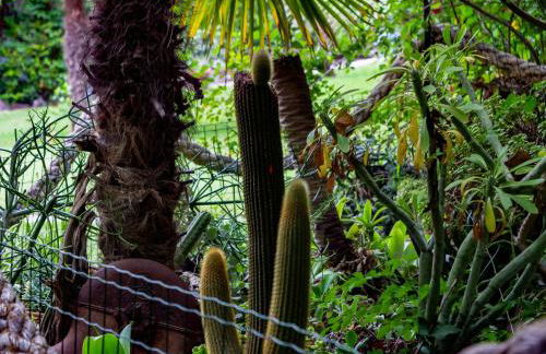 Residence L'Ulivo - Foto 62