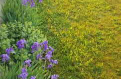 Ferienwohnung-Wald - Foto 39