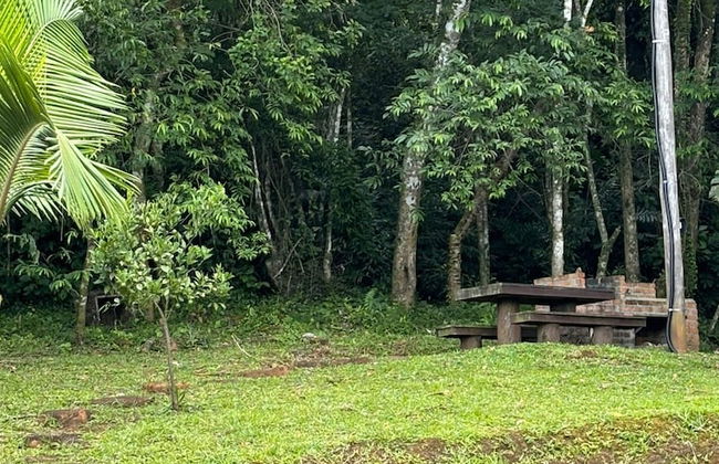 Vila Vicença Natural Refuge - Photo 74