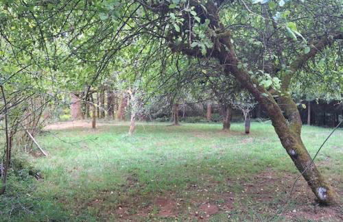 30 Peaceful Acres - Foto 65