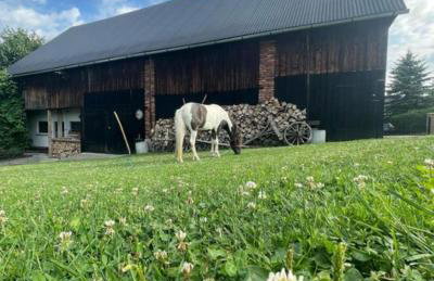 Agroturystyka Zagroda Miłkowskie - Photo 13