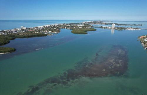 2400 Novus Sarasota - Foto 73