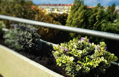 Gianduja - Attico con terrazzo - Foto 8