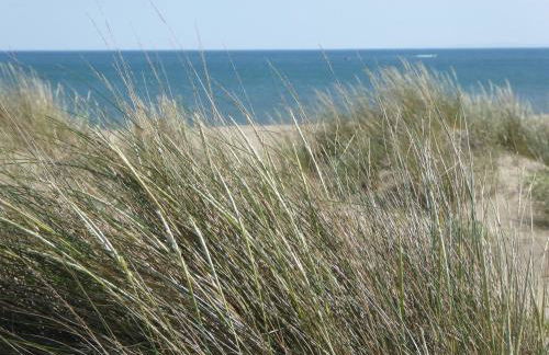 T2 à Sérignan Hérault - Foto 12