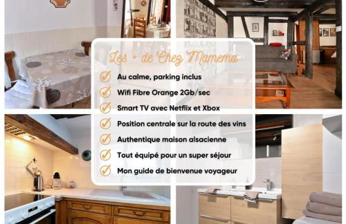 Chez Mamema, maison Alsacienne route des vins - Foto 17