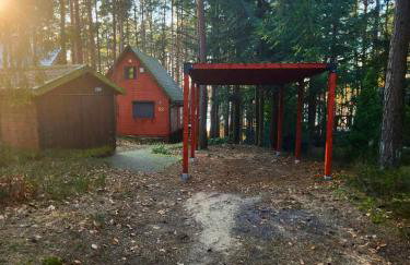 Domek w lesie przy jeziorze Kamień - Photo 2