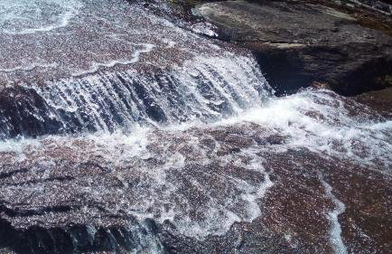 RECANTO DO LEÃO - Foto 75